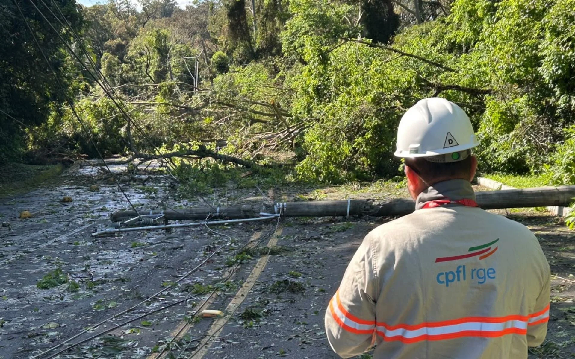Estrada do Horto segue bloqueada entre São Leopoldo e Sapucaia do Sul após queda de árvores e postes durante tempestade abc+