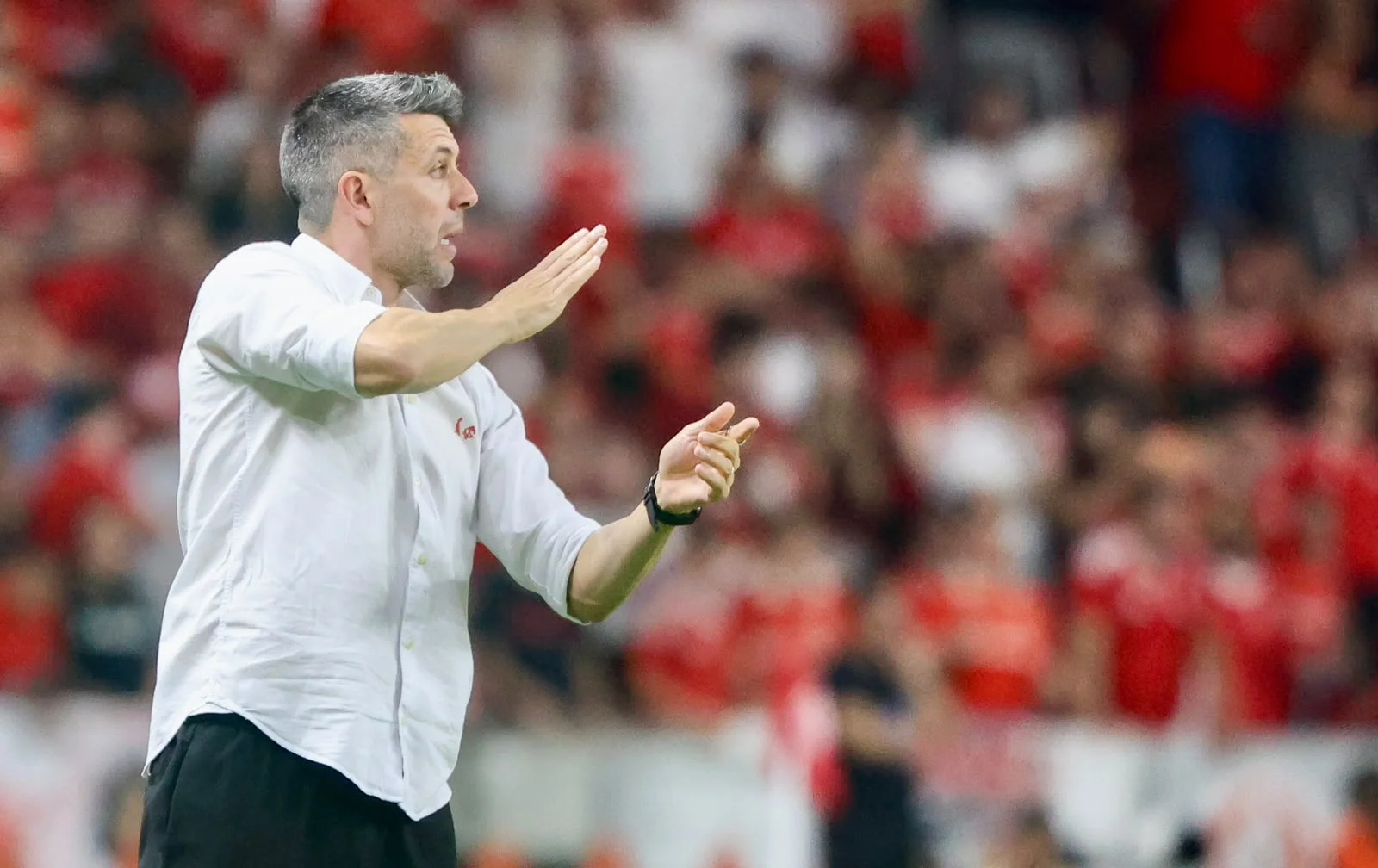 Paulo Pezzolano é demitido veja quem assume como técnico interino do Inter abc+