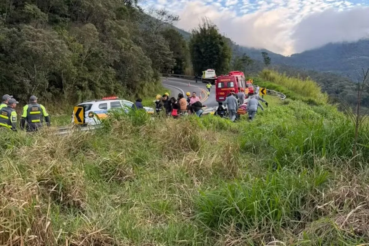 Seis pessoas morrem após ônibus cair em ribanceira em Cruzeiro (SP)