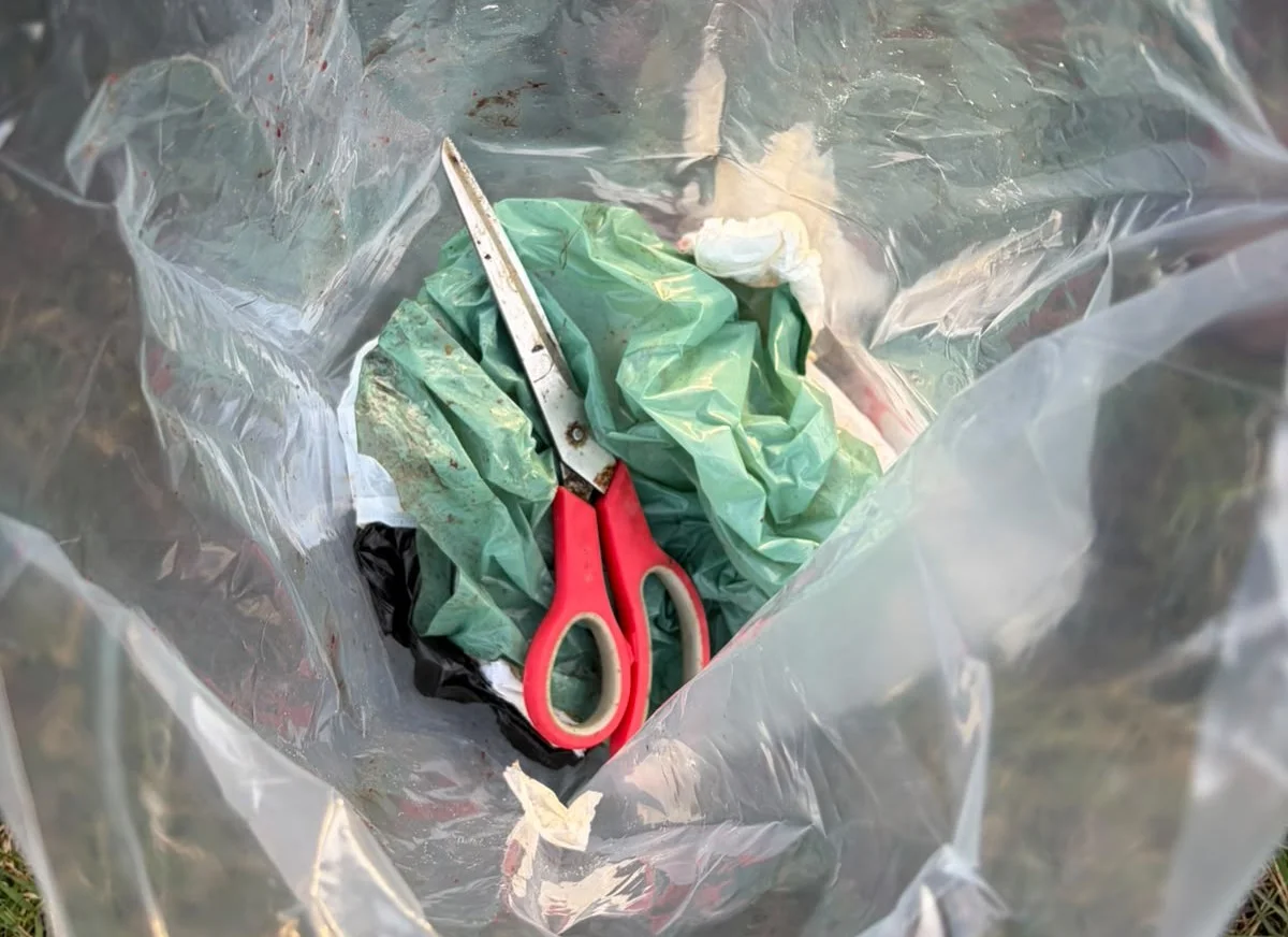 Recém-nascida morta em Canoas: Tesoura é encontrada em local onde bebê foi achada dentro de saco plástico abc+