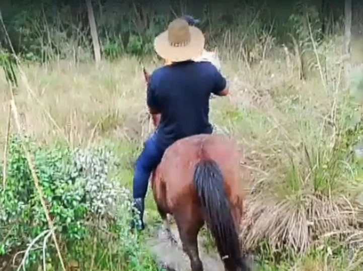 Abri a sacola e nem acreditei quando vi o cabelinho do bebê , diz jovem que encontrou recém-nascida morta em Canoas abc+