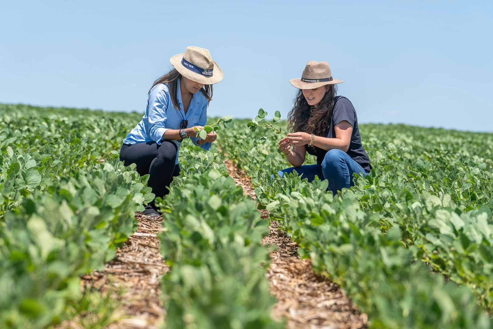 Bruno Blecher Mulheres deixam bastidor e viram protagonistas do agro