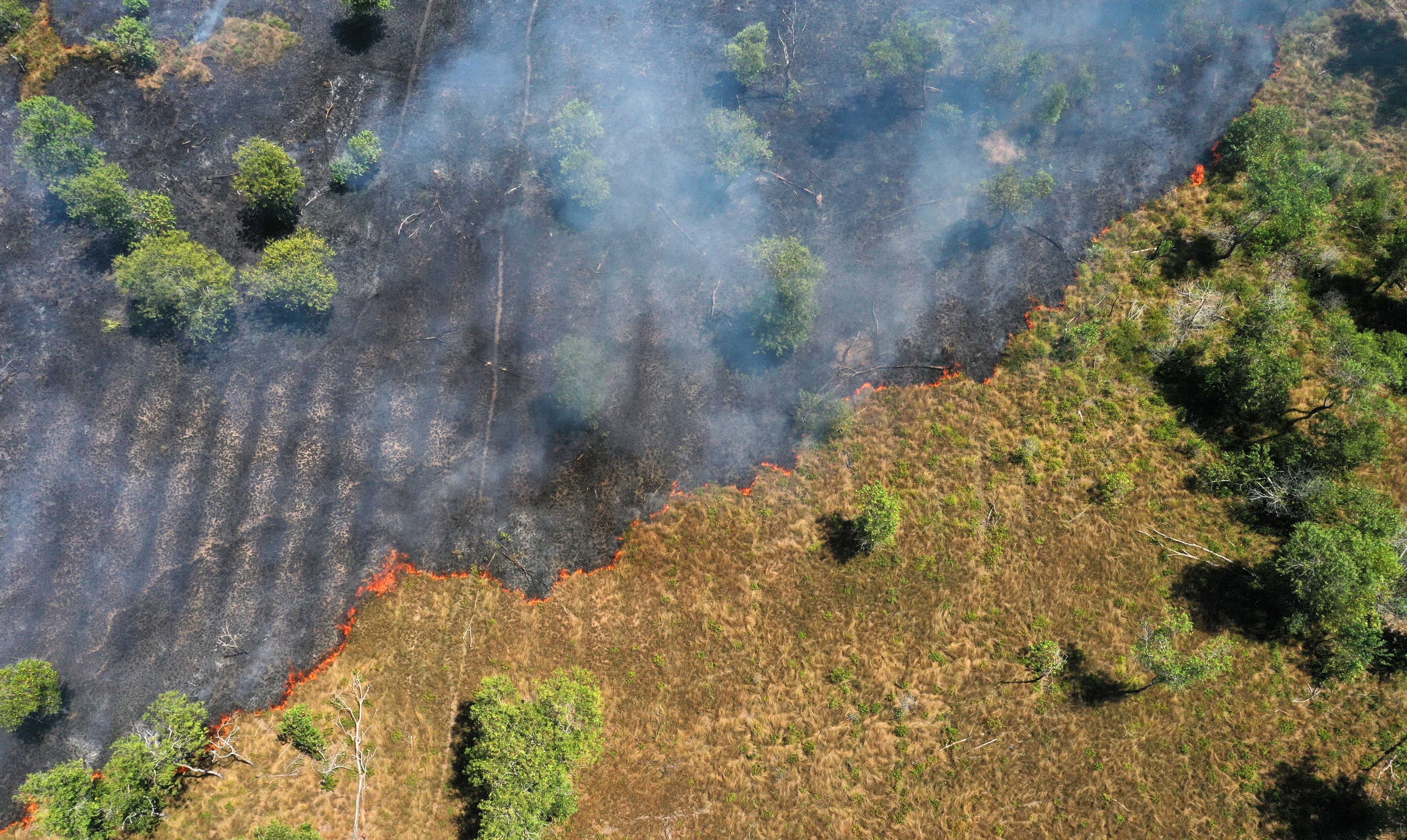 Desmatamento na Amazônia atinge menor nível da série histórica em 2025 G1