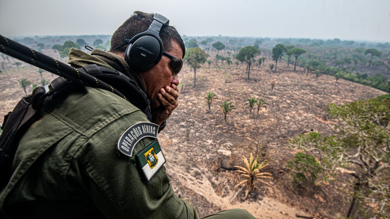 Queimadas no Amazonas: Ibama notifica 725 propriedades rurais G1