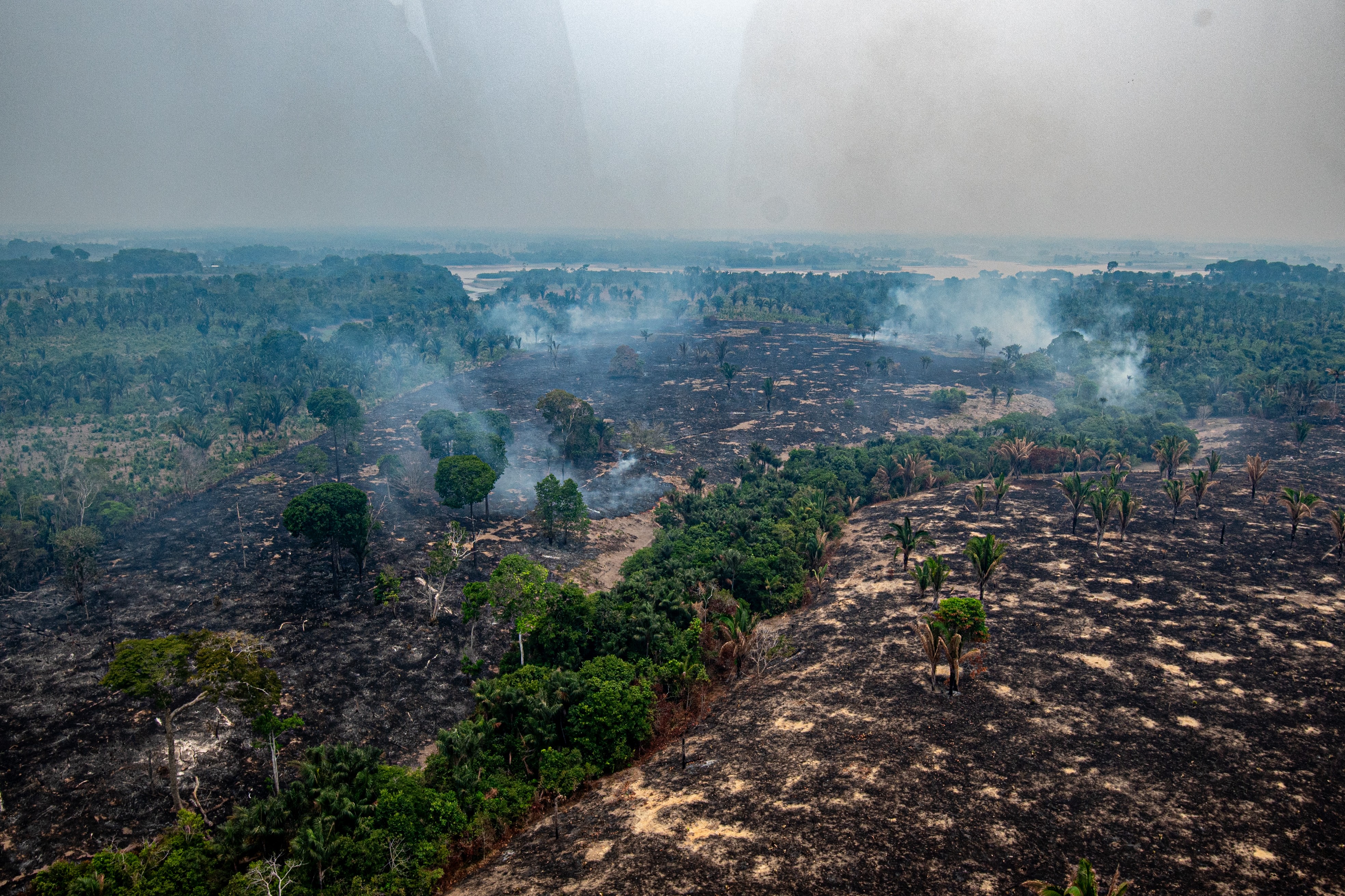 8 em 10 focos de fogo no Amazonas estão em imóveis rurais privados G1