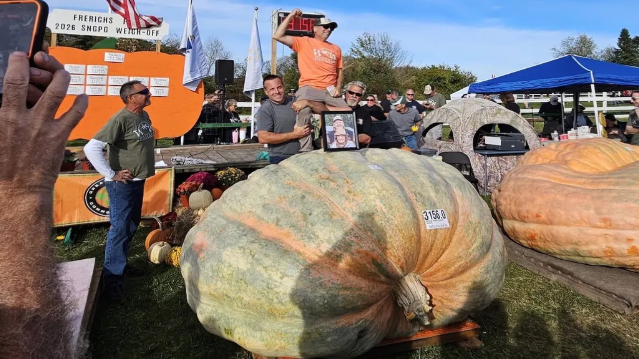 Agricultor produz abóbora de 1.432 kg e quebra recorde mundial nos EUA - Aventuras na História