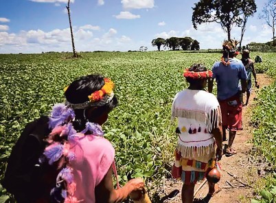 PF investiga denúncias de violência contra indígenas no Mato Grosso do Sul após as eleições