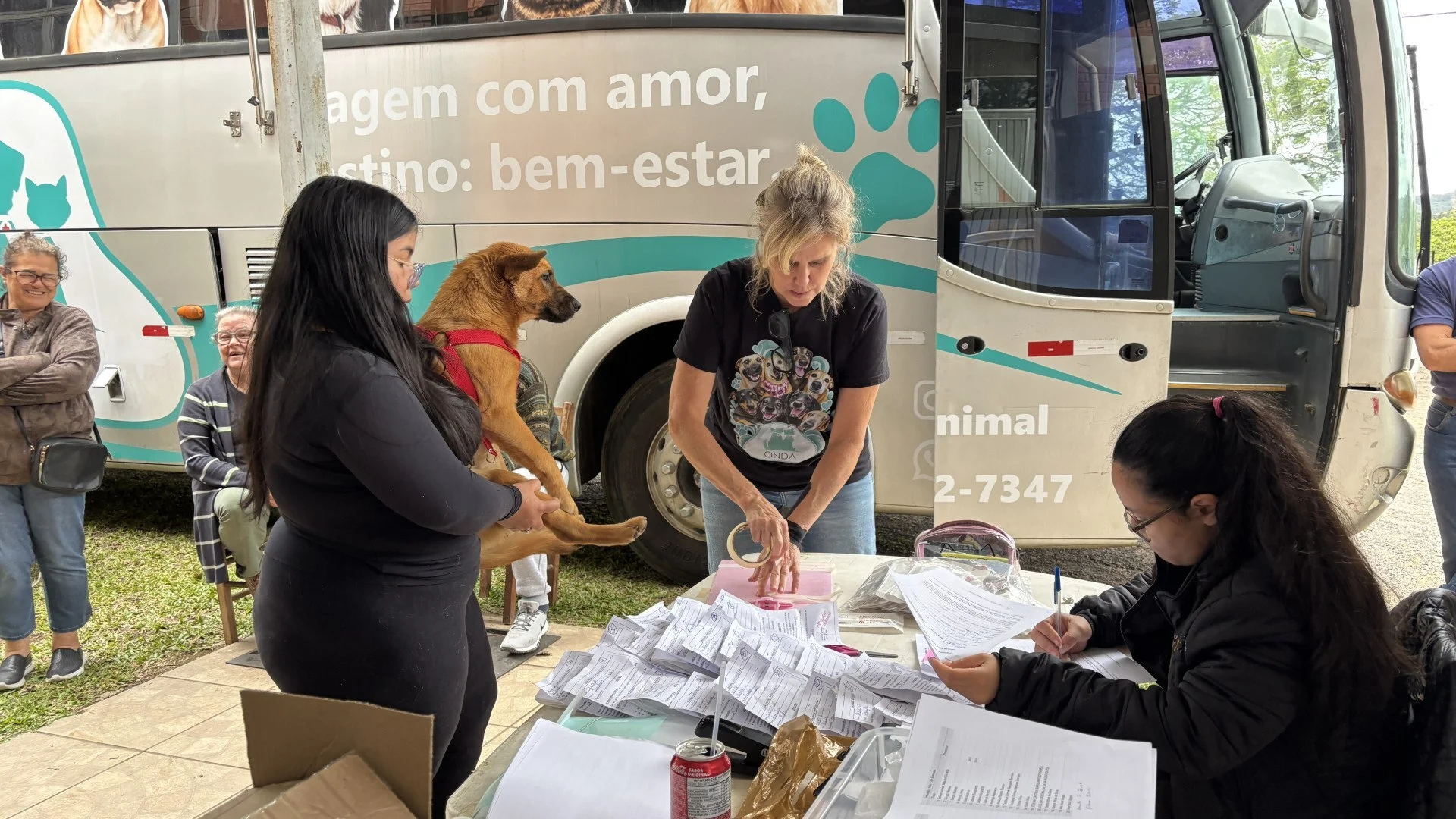 Novo Hamburgo tem 3ª etapa do mutirão de castração gratuita de cães e gatos: Muito importante abc+